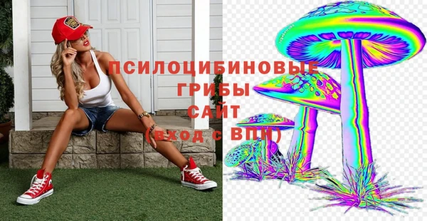 2c-b Абдулино