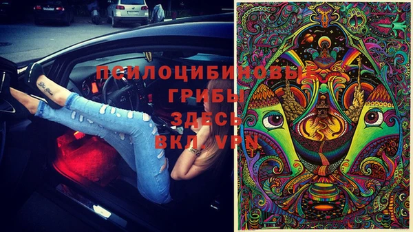 прущие крисы Абинск