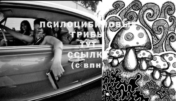 амф Абаза