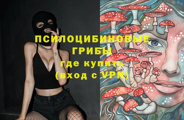 амф Абаза