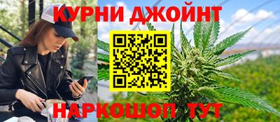 mdpv Гатчина