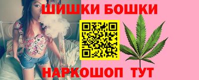 mdpv Гатчина