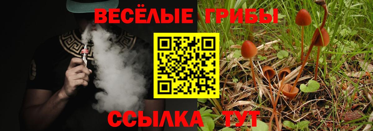 Комсомольск-на-Амуре  Псилоцибиновые грибы мицелий  Вход с VPN 
